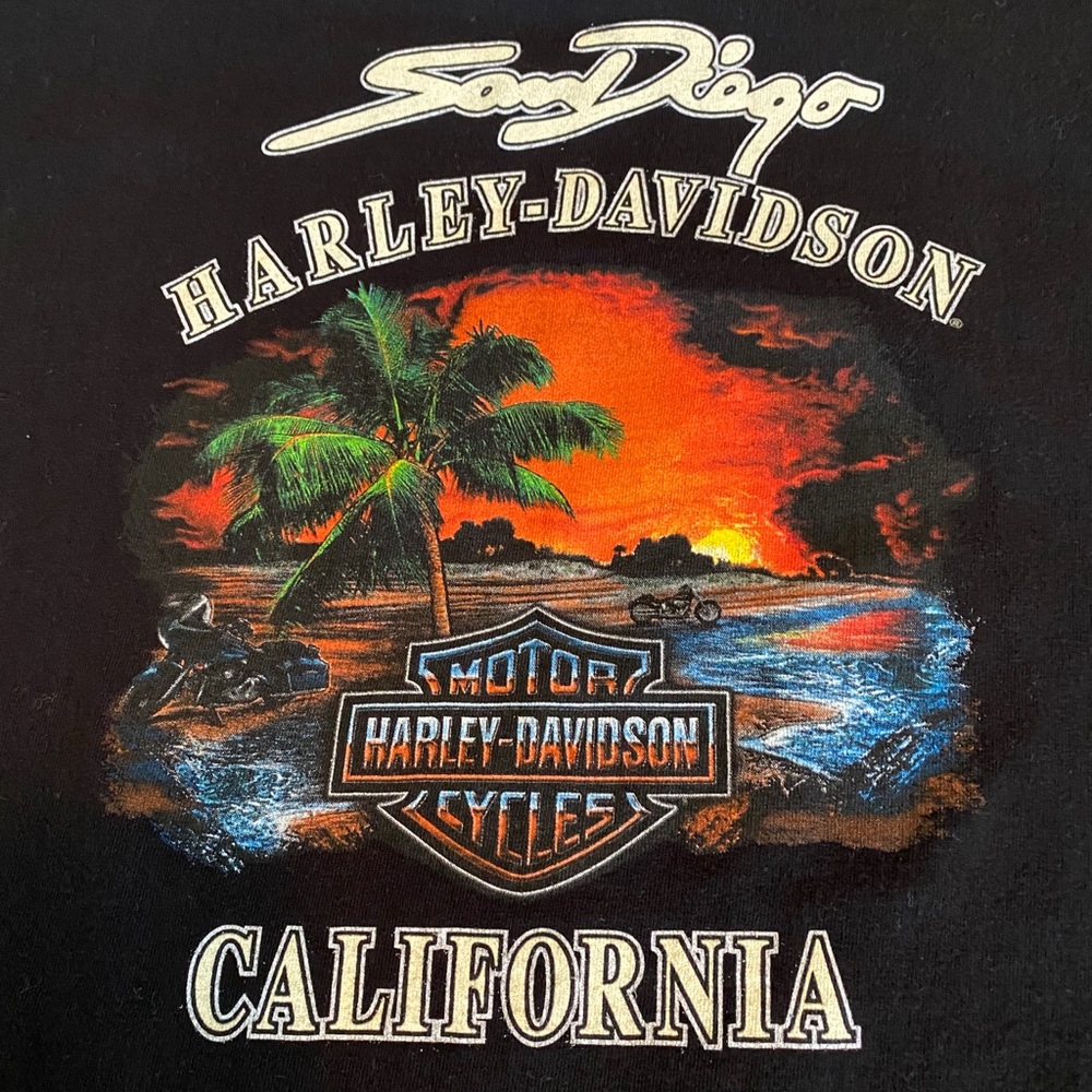 Official Harley Davidson Men’s T-Shirt
